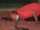 Паттайя. Змеиная ферма (Snake Farm)