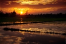 Khon Kaen (Кхон Кен)