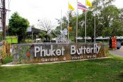 Пхукет. Сад бабочек и мир насекомых (Butterfly Garden & Insect World)