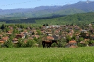 Город Берковица