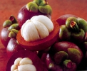 Мангостин ( MANGOSTEEN ) Garcinia Mangostana L.