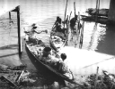 Черно белая история Королевства Таиланд