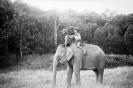 Черно белая история Королевства Таиланд