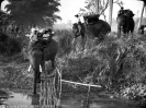 Черно белая история Королевства Таиланд